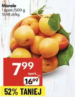Delikatesy Centrum Morele 1 opak./500g Delikatesy Centrum oferta
