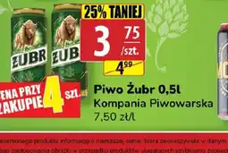 API MARKET Piwo Zubr oferta
