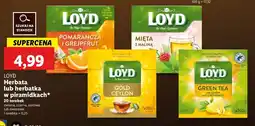 Lidl Herbata pomarańcz i grejpfrut Loyd tea the magic experience oferta