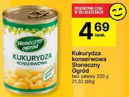 Delikatesy Centrum Kukurydza konserwowa Słoneczny Ogród 220g oferta