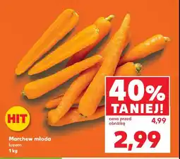 Kaufland Marchew młoda oferta