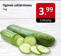 Market Point Ogórek szklarniowy 1kg Market Point oferta