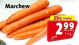 Prim Market Marchew Prim Market oferta