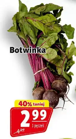 Prim Market Botwinka Prim Market oferta