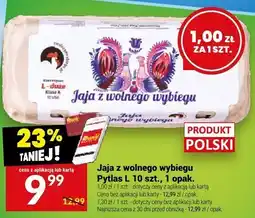 Twój Market Jaja z wolnego wybiegu Pytals 10 szt oferta
