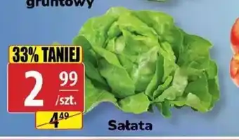 API MARKET Sałata oferta