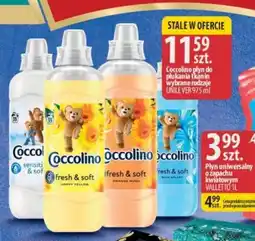 Delisso Delikatesy Coccolino płyn do płukania tkanin oferta