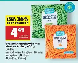 Biedronka Groszek zielony Mroźna kraina oferta