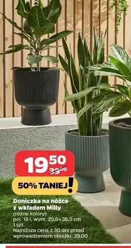 Netto Doniczka na nóżce z wkładem milly 29.8 x 36.5 cm oferta
