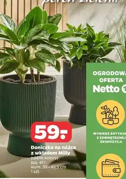 Netto Doniczka na nóżce milly 41 l oferta