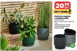 Netto Doniczka zwężana z wkładem milly 17 l oferta