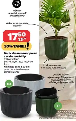 Netto Doniczka milly 7 l oferta