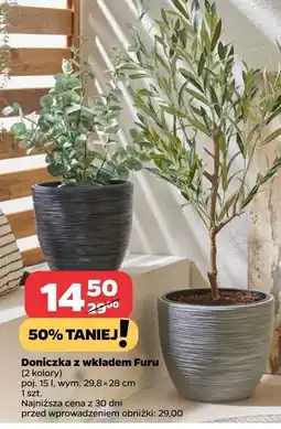 Netto Doniczka z wkładem furu 15 l oferta