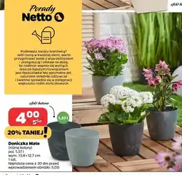Netto Doniczka mate 1.37 l oferta