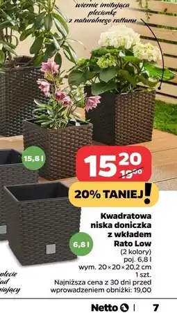Netto Doniczka rato low 6.8l oferta