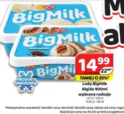 Delfin Lody BigMilk Algida oferta