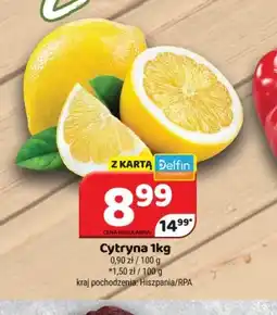 Delfin Cytryna oferta
