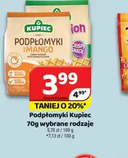 Delfin Podpłomyki Kupiec oferta
