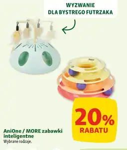 Maxi Zoo AniOne / MORE zabawki inteligentne oferta