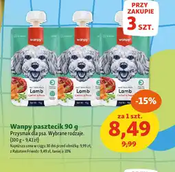 Wanpy pasztecik