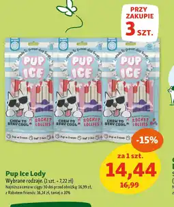 Maxi Zoo Pup Ice Lody oferta