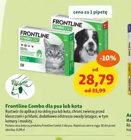 Maxi Zoo Frontline Combo dla psa lub kota oferta