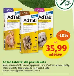 Maxi Zoo AdTab tabletki dla psa lub kota oferta