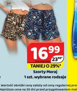 Delfin Szorty Moraj oferta