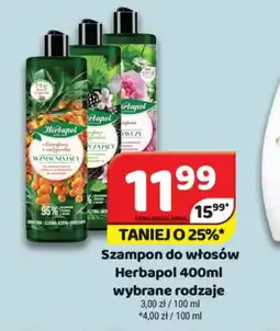 Delfin Szampon do włosów Herbapol oferta