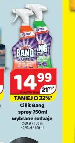 Delfin Cillit Bang oferta