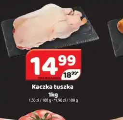Delfin Kaczka tuszka oferta