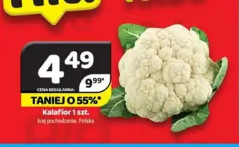 Delfin Kalafior oferta