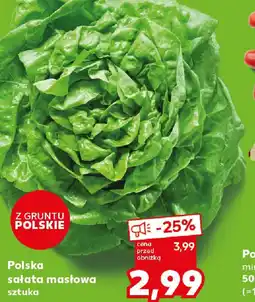 Kaufland Polska sałata masłowa oferta