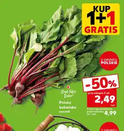 Kaufland Polska botwinka oferta