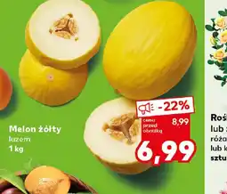 Kaufland Melon żółty oferta