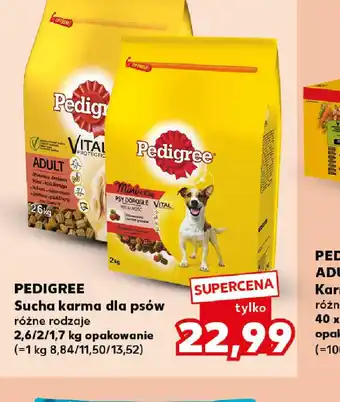 Kaufland Pedigree oferta