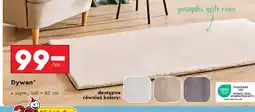 Biedronka Dywan oferta