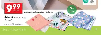 Biedronka Scierki kuchenne oferta