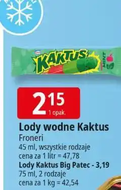 E.Leclerc Lody wodne Kaktus 70ml Froneri oferta