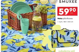 Biedronka Mata piknikowa Smukee oferta