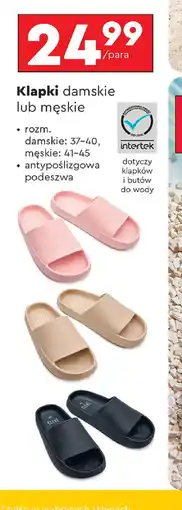 Biedronka Klapki damskie lub męskie oferta