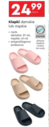 Biedronka Klapki Cleve oferta