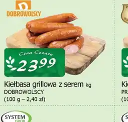 Cezar Delikatesy Kiełbasa grillowa z serem Dobrowolscy oferta