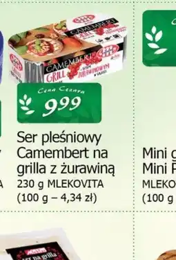 Cezar Delikatesy Ser pleśniowy Camembert na grilla z żurawiną oferta
