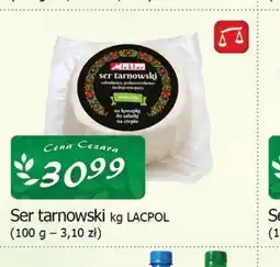 Cezar Delikatesy Ser tarnowski oferta