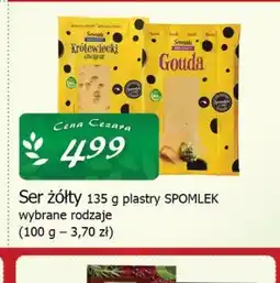 Cezar Delikatesy Ser żółty Spomlek oferta