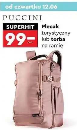Biedronka Plecak turystyczny Puccini oferta
