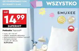 Biedronka Poduszka poduszka ortopedyczna topcool 70 x 80 cm Smukee oferta