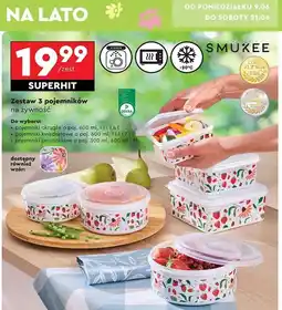 Biedronka Zestaw pojemników prostokątnych Smukee oferta