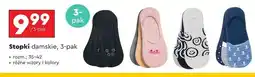 Biedronka Stopki damskie 35-42 Cleve oferta
